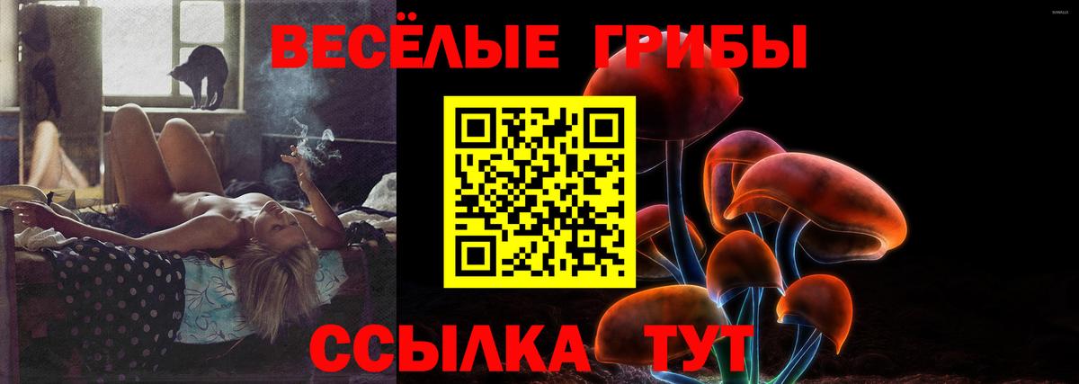Орёл  Галлюциногенные грибы прущие грибы  Вход с VPN 